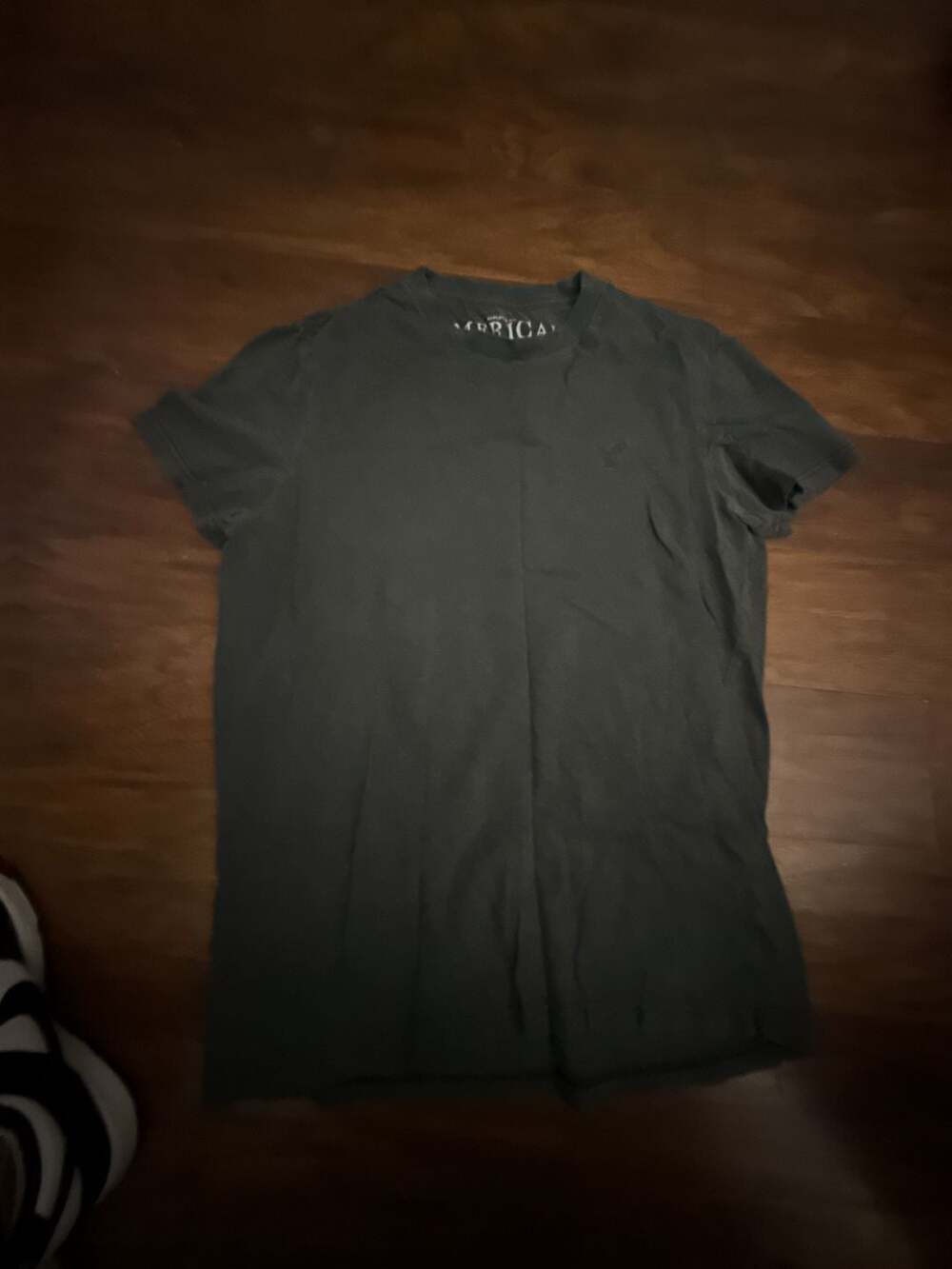 American Eagle Outfitters Athletic Fit Gray Short Sleeve T-Shirt with Logo